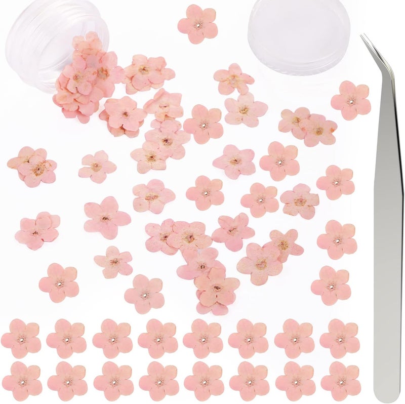 DREMISI 50Pcs Forget Me Not Dried Flowers Don't Forget Me Dried Flowers Natural Dried Pressed Flowers with Forceps for Resin Jewelry Making Candle Nail Art Flower Ornaments Paper Making Supplies, Pink - Image 1